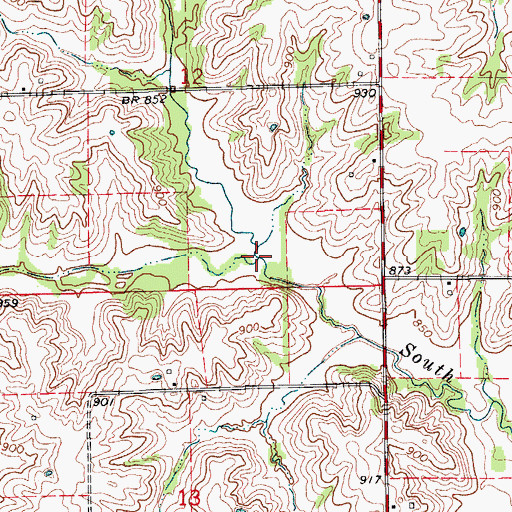 Topographic Map of Cottonwood Fork, MO