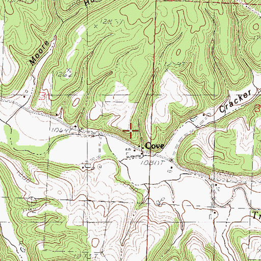 Topographic Map of Cove, MO