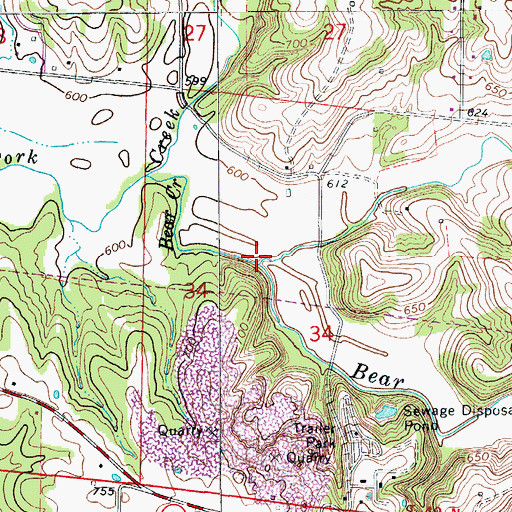 Topographic Map of Cow Branch, MO