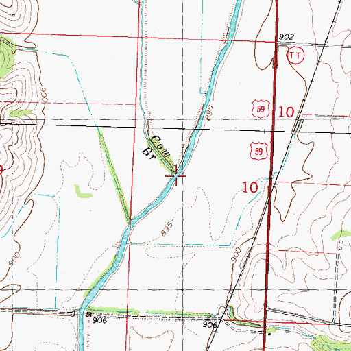 Topographic Map of Cow Branch, MO