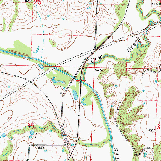 Topographic Map of Cow Creek, MO