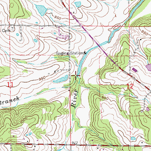 Topographic Map of Cox Branch, MO