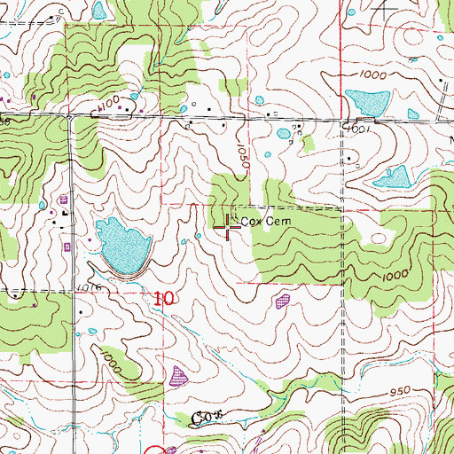 Topographic Map of Cox Cemetery, MO