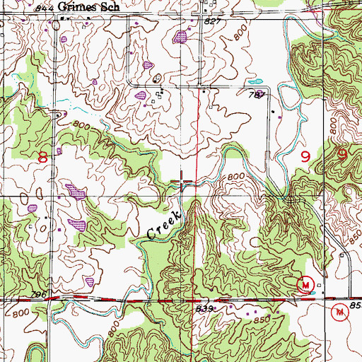 Topographic Map of Coy Branch, MO
