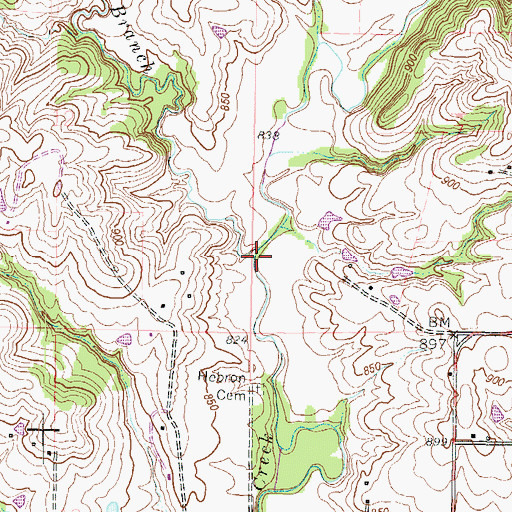 Topographic Map of Crabapple Branch, MO