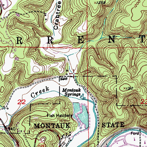Topographic Map of Crabtree Hollow, MO