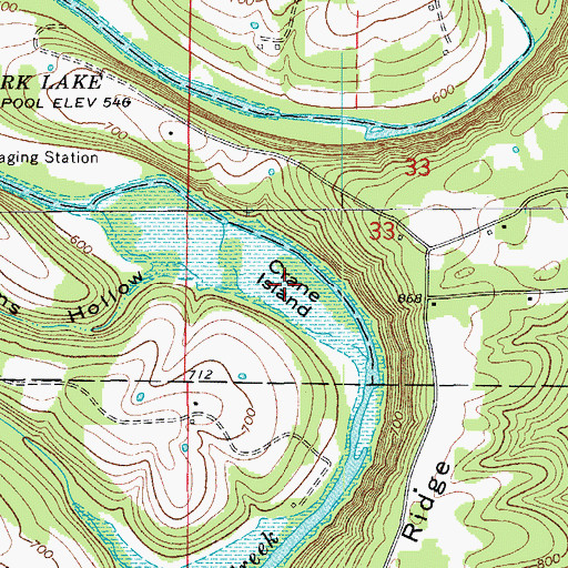 Topographic Map of Crane Island, MO