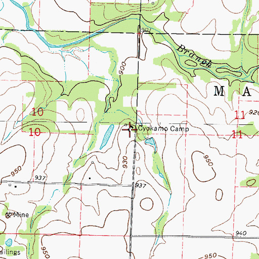 Topographic Map of Cyokamo Camp, MO