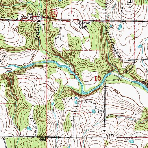 Topographic Map of Dailey Branch, MO