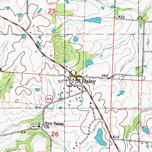 Topographic Map of Daisy, MO