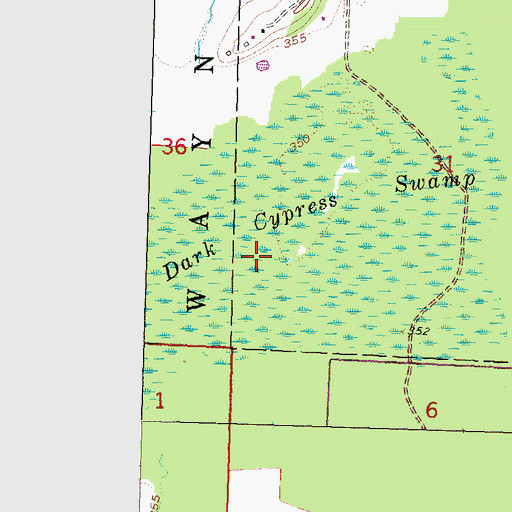Topographic Map of Dark Cypress Swamp, MO