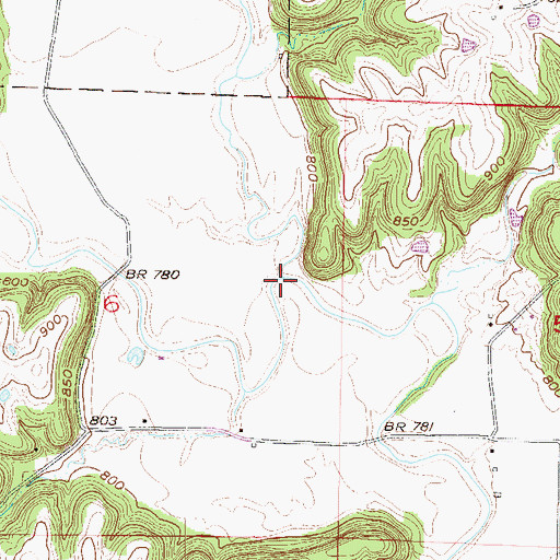Topographic Map of Davis Branch, MO