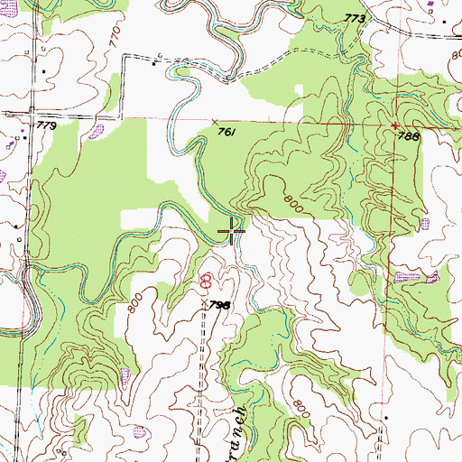 Topographic Map of Davis Branch, MO