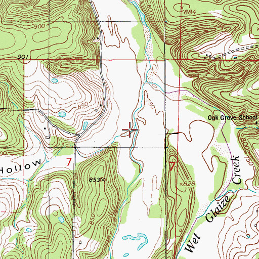 Topographic Map of Davis Hollow, MO