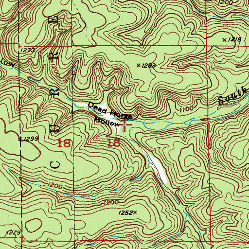 Topographic Map of Dead Horse Hollow, MO