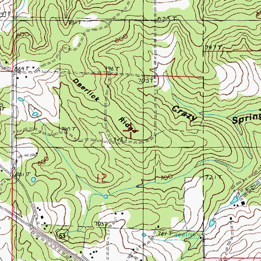 Topographic Map of Deerlick Ridge, MO