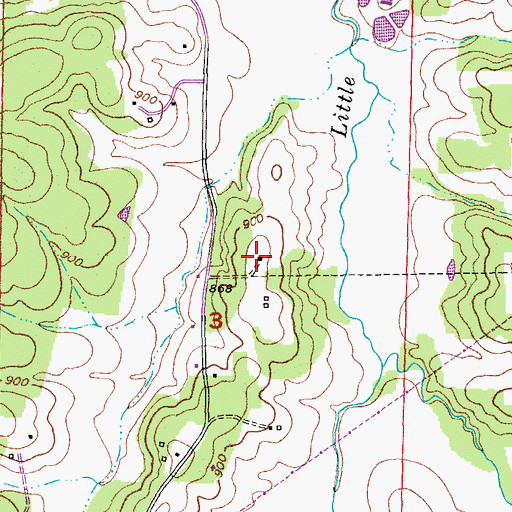 Topographic Map of Delhi School (historical), MO