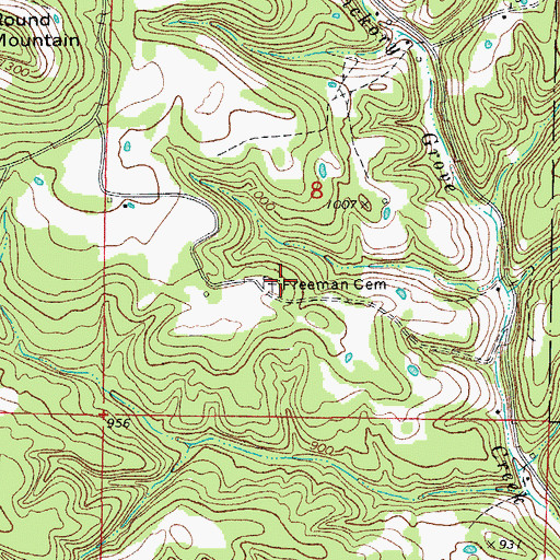 Topographic Map of Freeman Cemetery, AR