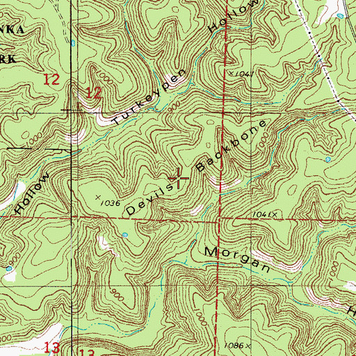 Topographic Map of Devils Backbone, MO