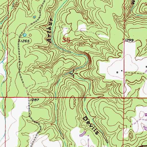 Topographic Map of Devils Hollow, MO