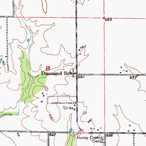 Topographic Map of Diamond School, MO