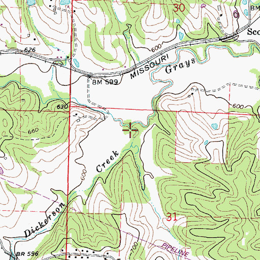 Topographic Map of Dickerson Creek, MO