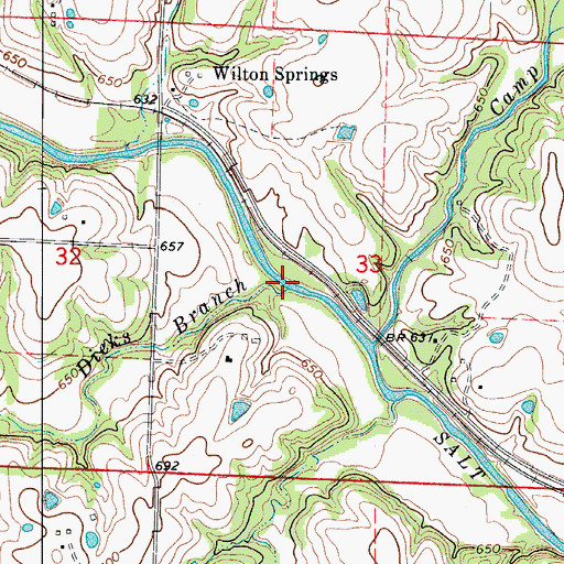 Topographic Map of Dicks Branch, MO