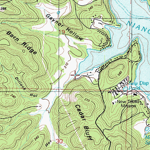 Topographic Map of Dillock Hollow, MO