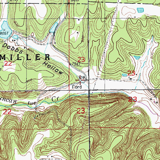 Topographic Map of Dobbs Hollow, MO