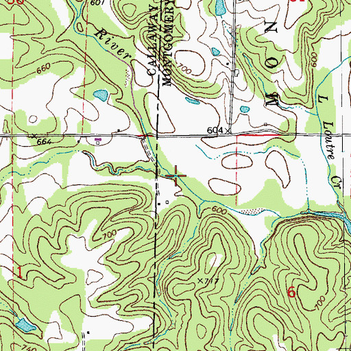 Topographic Map of Dog Branch, MO