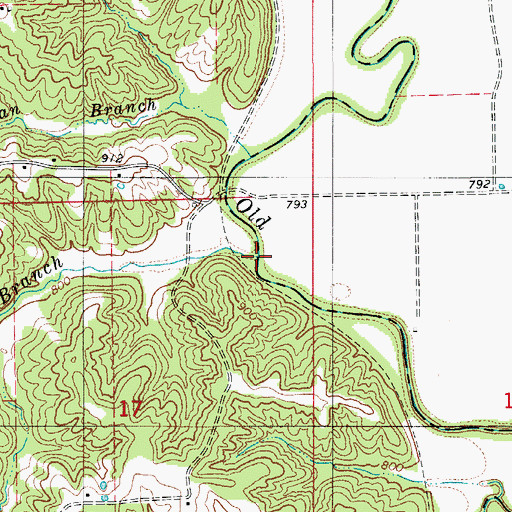 Topographic Map of Dog Branch, MO
