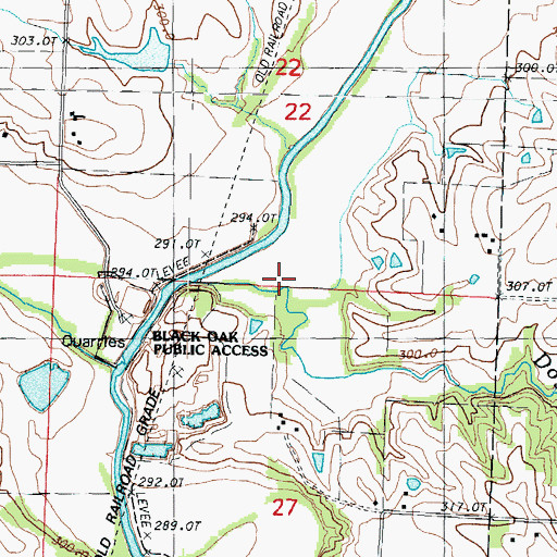 Topographic Map of Dog Branch, MO