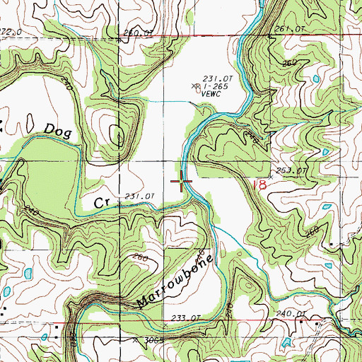 Topographic Map of Dog Creek, MO