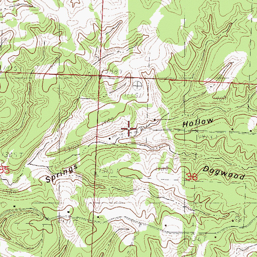 Topographic Map of Dogwood Hollow, MO
