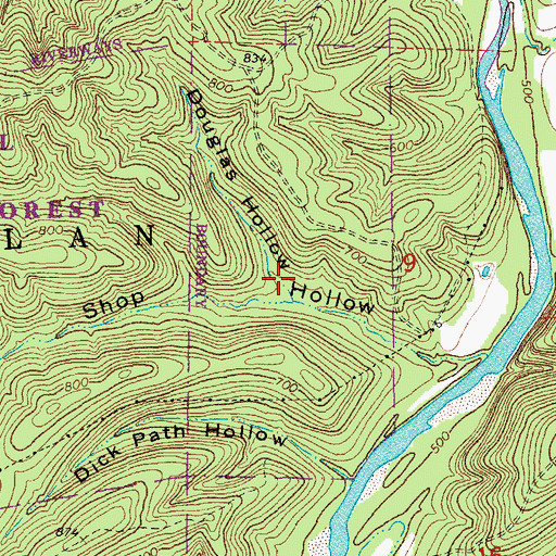Topographic Map of Douglas Hollow, MO