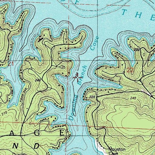 Topographic Map of Downing Branch Cove, MO