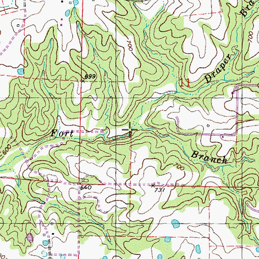 Topographic Map of Draper Branch, MO