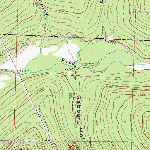 Topographic Map of Gabbard Hollow, AR