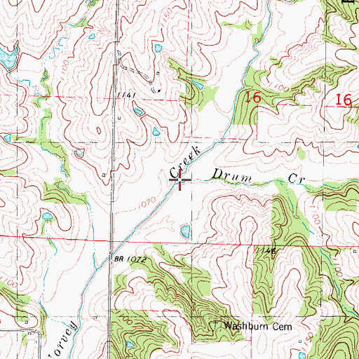 Topographic Map of Drum Creek, MO