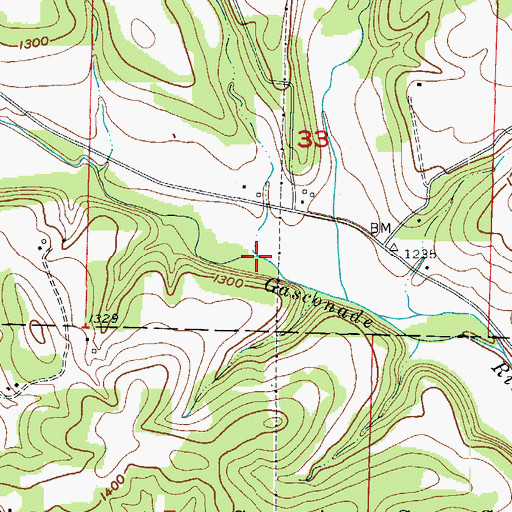 Topographic Map of Dry Branch, MO