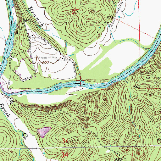 Topographic Map of Dry Branch, MO
