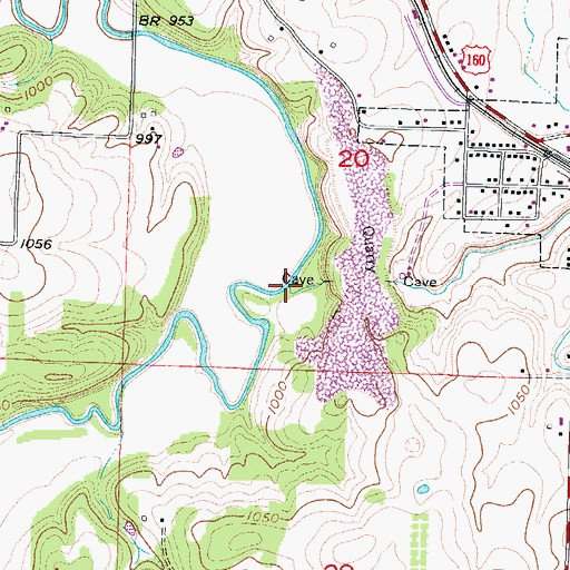 Topographic Map of Dry Branch, MO