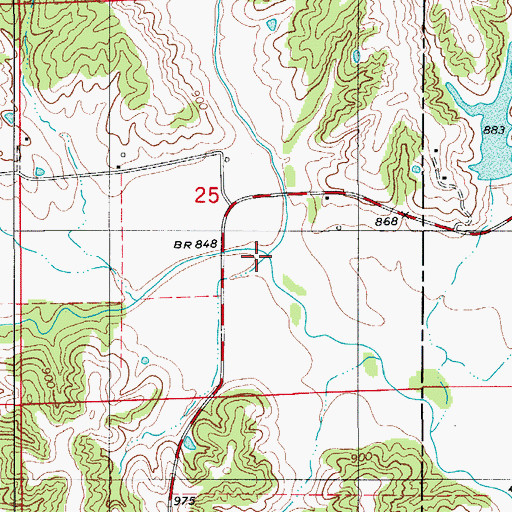 Topographic Map of Dry Branch, MO