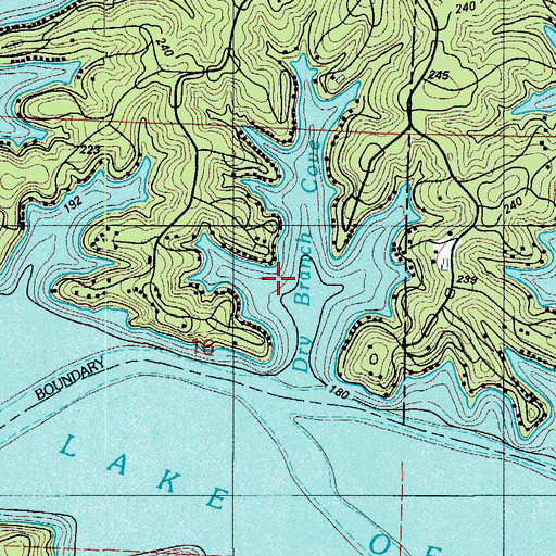 Topographic Map of Dry Branch Cove, MO