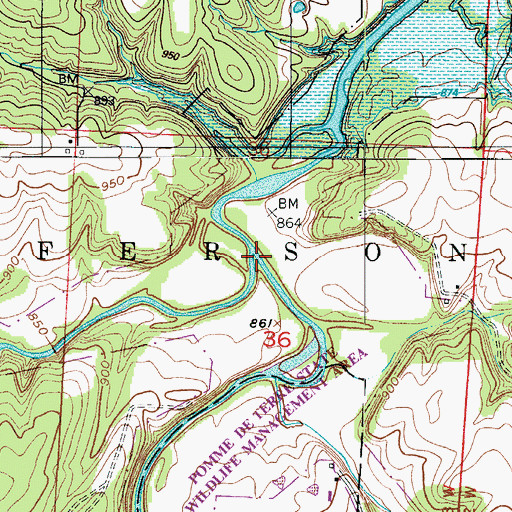 Topographic Map of Dry Fork, MO