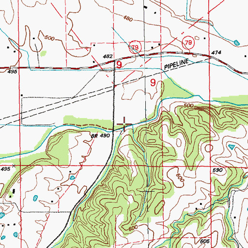 Topographic Map of Dry Fork, MO