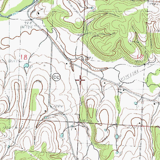 Topographic Map of Dry Hollow, MO