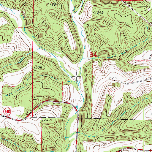 Topographic Map of Dry Hollow, MO