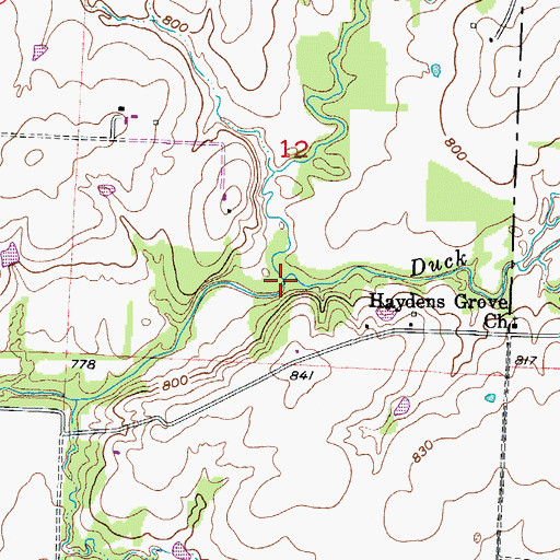 Topographic Map of Duck Creek, MO