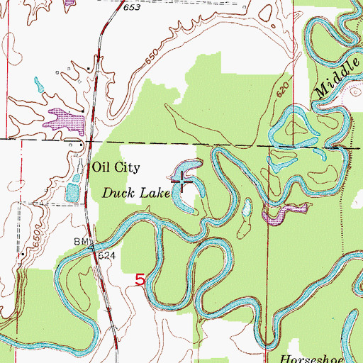 Topographic Map of Duck Lake, MO